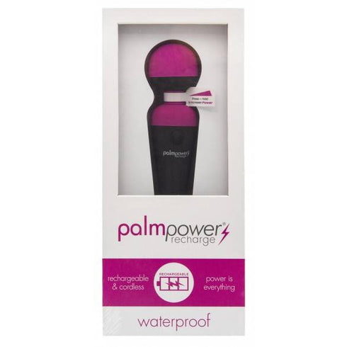 Palm Power Rechargeable